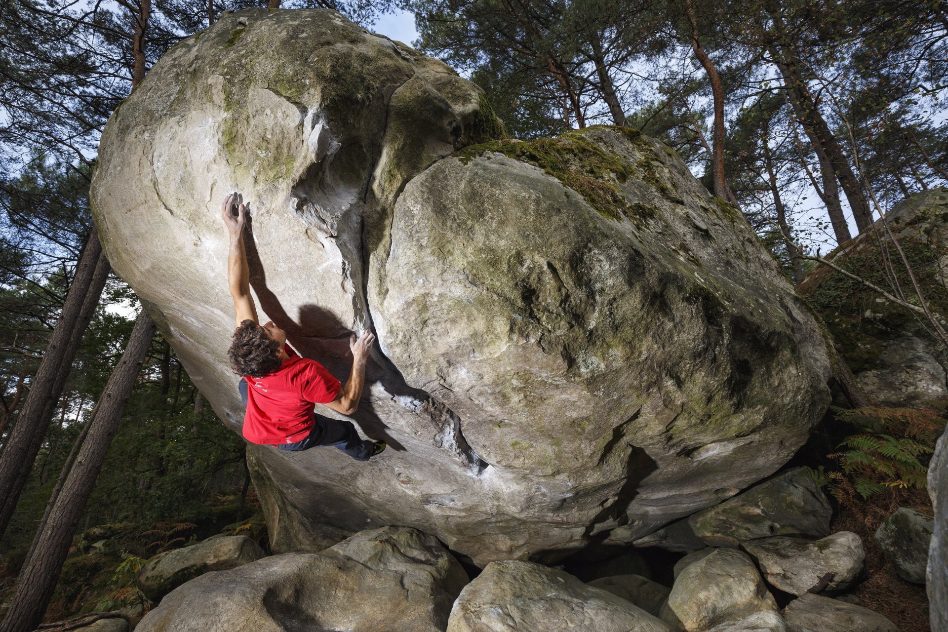 Fontainebleau Trip